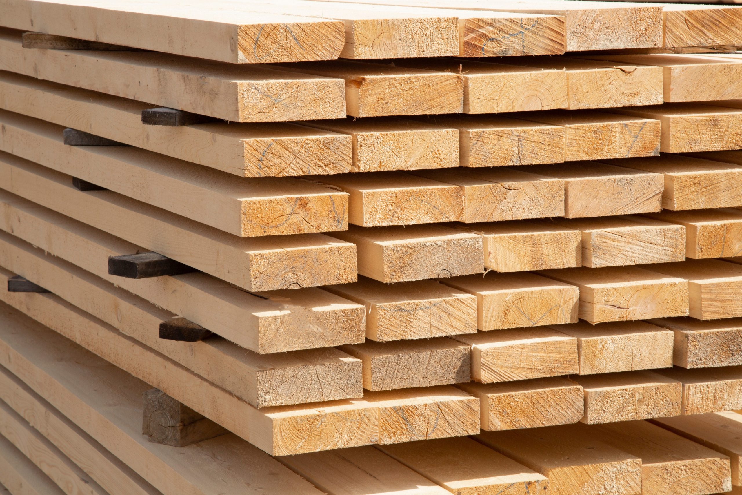 shutterstock 1726551205